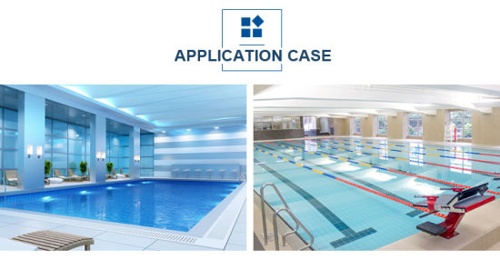 Hot Sale! House SPA/Commercial Use Swimming Pool Heat Pump