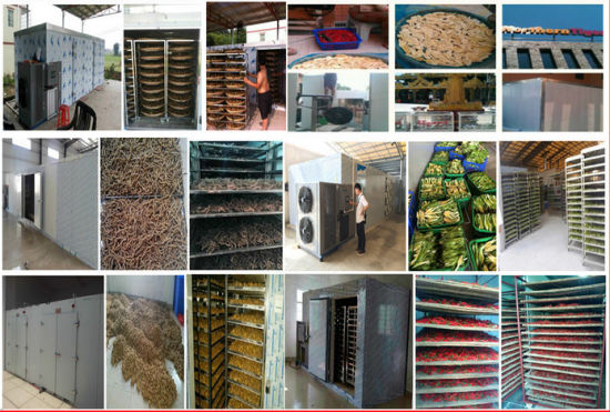 100% Natural Dried Commercial Fruit Drying Heat Pump Equipment